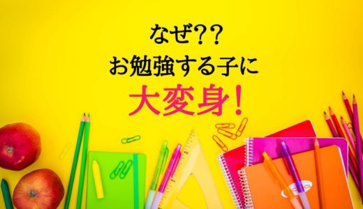 【口コミ・評判】こどもちゃれんじをはじめる前の注意点|4年続けて分かった