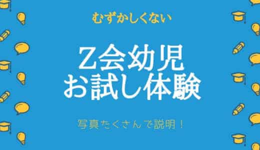 【体験レビュー】Z会幼児コースのお試し教材は入手しないと損?キャンペーンは?
