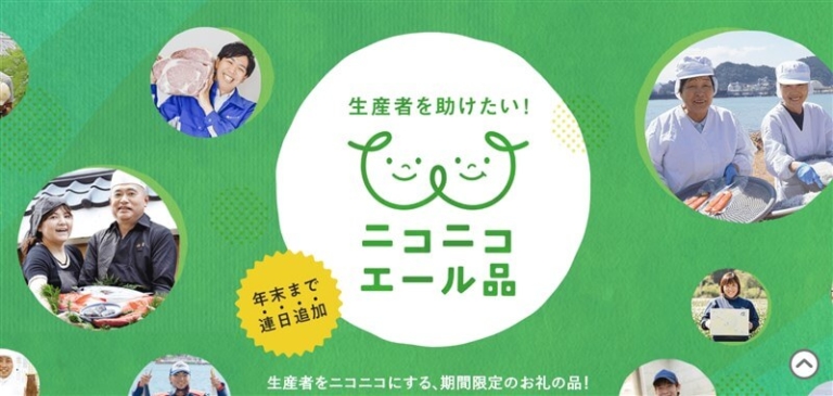 ふるさとチョイスキャンペーンコード＆会員登録で納税なしでもらえる！ おうち教材の森
