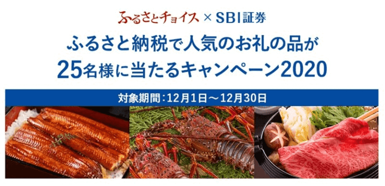 ふるさとチョイスキャンペーンコード＆会員登録で納税なしでもらえる！ おうち教材の森