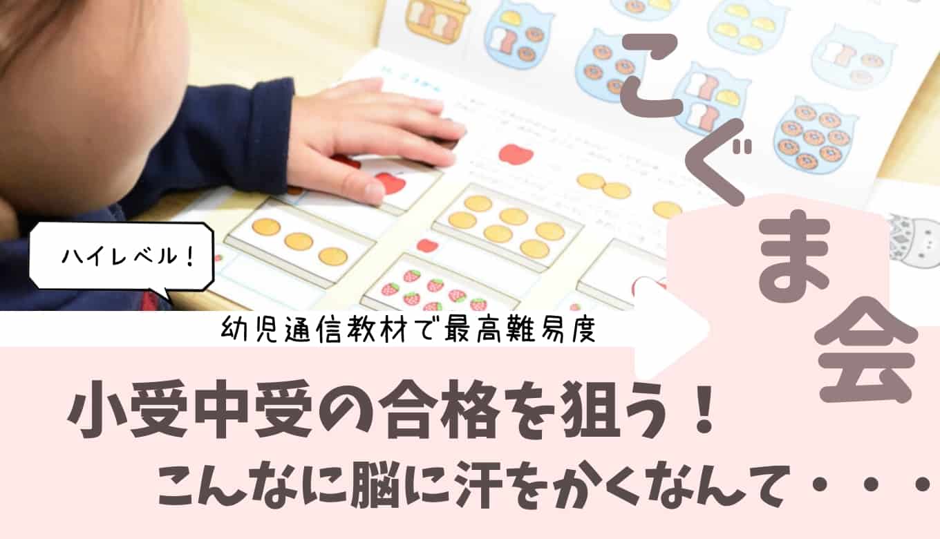 伸びる秘密は 評判の モコモコゼミ こぐま会 Sapix をお試し体験談 おうち教材の森