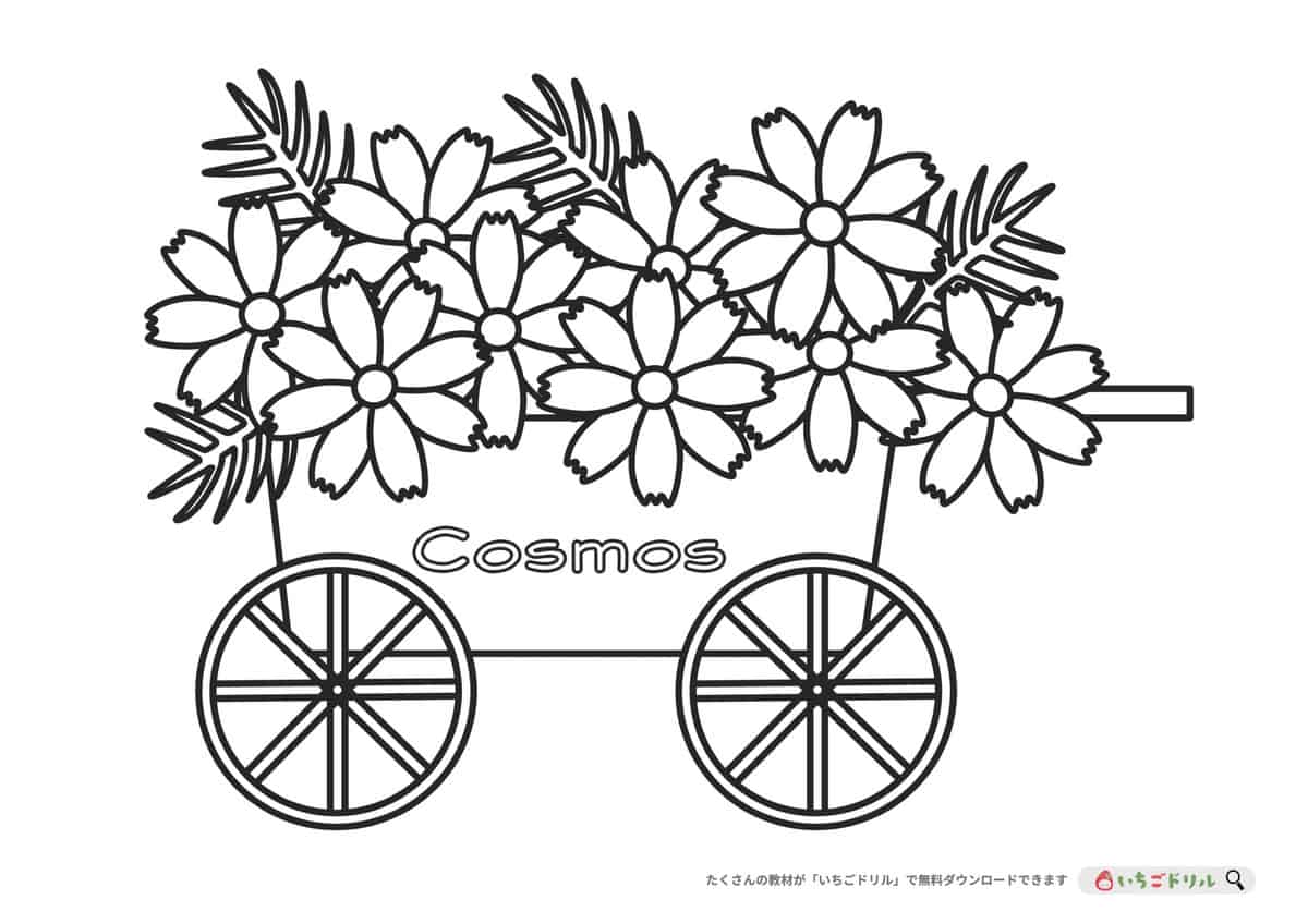 無料ダウンロード コスモスのぬりえ いちごドリル なきらぼ