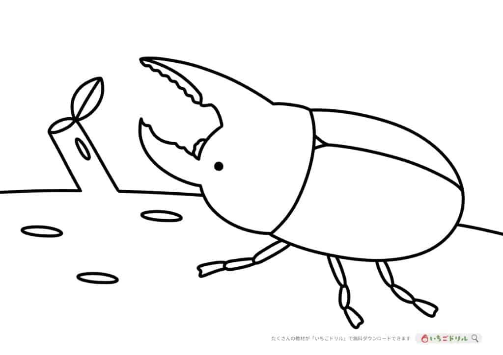 無料ダウンロード ヘラクレスオオカブトのぬりえ いちごドリル なきらぼ